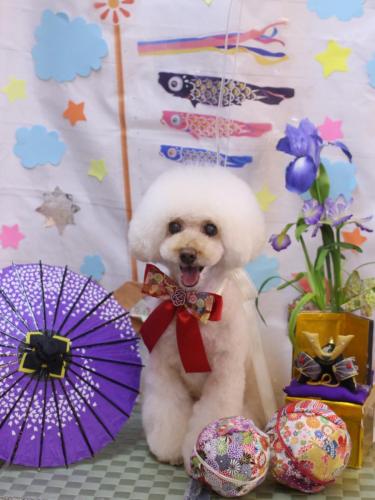 20240519ピッピちゃん